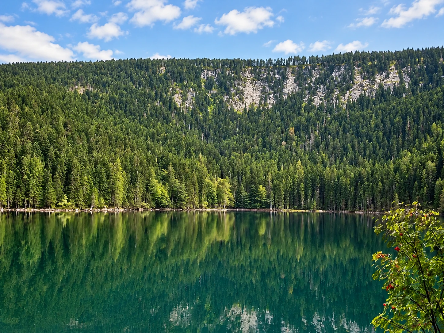 Černé jezero a odraz zalesněné jezerní stěny, původní fotografie upravená pomocí AI